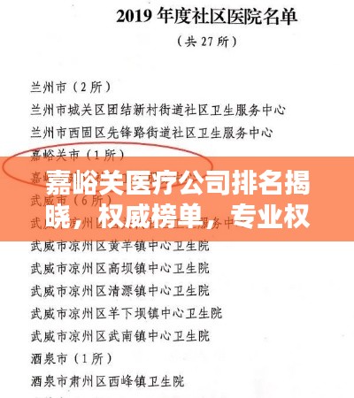 嘉峪關(guān)醫(yī)療公司排名揭曉，權(quán)威榜單，專業(yè)權(quán)威，值得信賴！