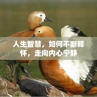 三心二意 第2頁