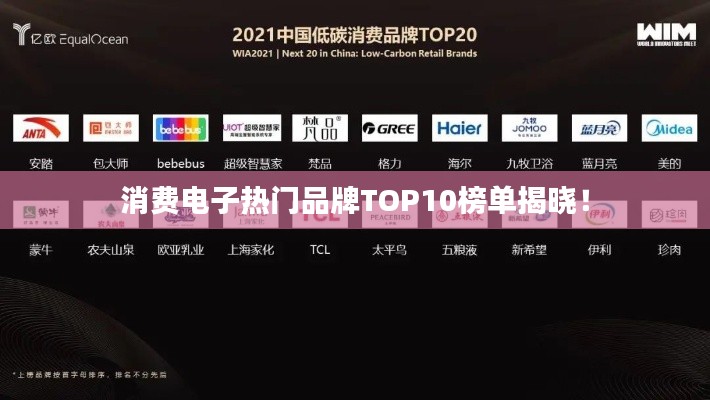 消費電子熱門品牌TOP10榜單揭曉！