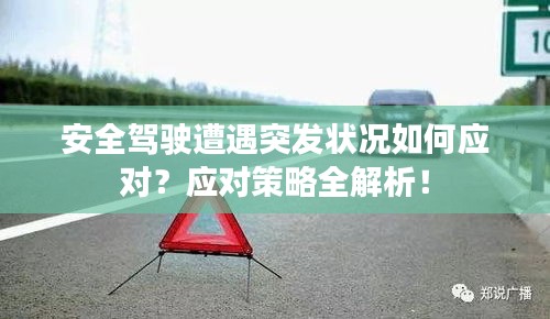安全駕駛遭遇突發(fā)狀況如何應(yīng)對？應(yīng)對策略全解析！