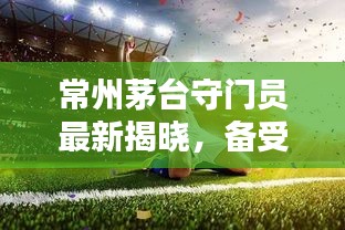 常州茅臺守門員最新揭曉，備受矚目的消息！
