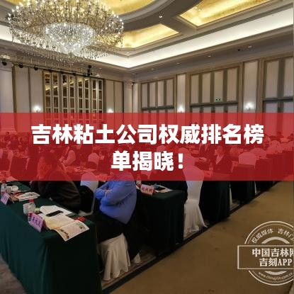 吉林粘土公司權(quán)威排名榜單揭曉！