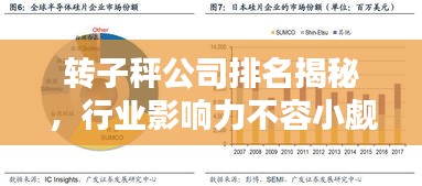轉(zhuǎn)子秤公司排名揭秘，行業(yè)影響力不容小覷