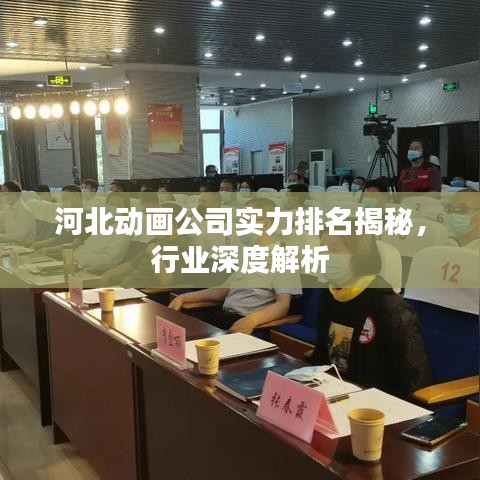 河北動畫公司實力排名揭秘，行業(yè)深度解析
