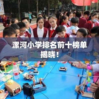 漯河小學(xué)排名前十榜單揭曉！