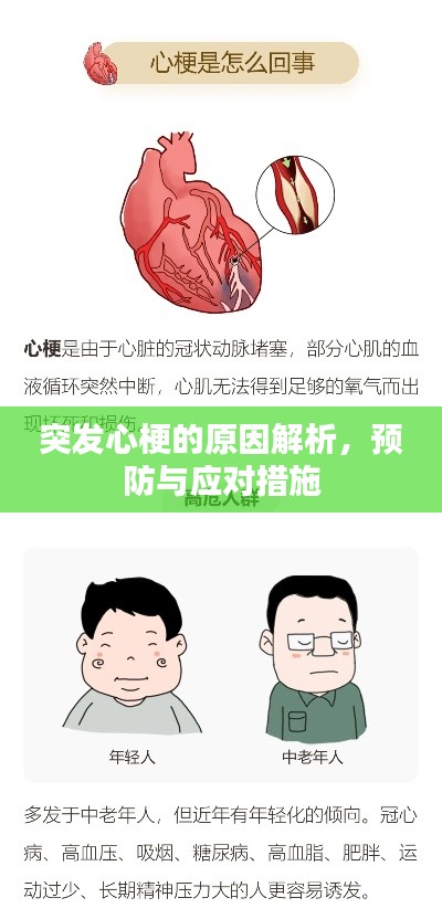突發(fā)心梗的原因解析，預(yù)防與應(yīng)對措施