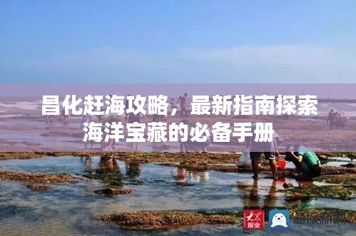 昌化趕海攻略，最新指南探索海洋寶藏的必備手冊(cè)