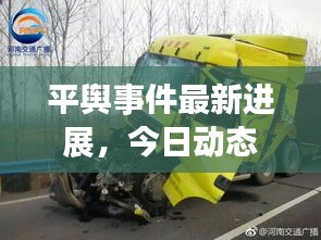 平輿事件最新進展，今日動態(tài)更新消息速遞