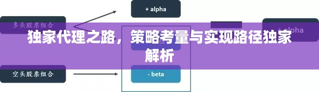 獨家代理之路，策略考量與實現(xiàn)路徑獨家解析