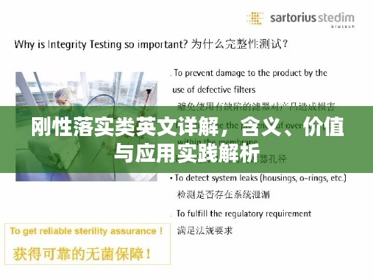 剛性落實類英文詳解，含義、價值與應(yīng)用實踐解析