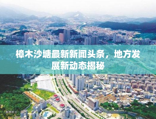 樟木沙塘最新新聞頭條，地方發(fā)展新動態(tài)揭秘