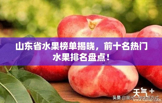 山東省水果榜單揭曉，前十名熱門(mén)水果排名盤(pán)點(diǎn)！