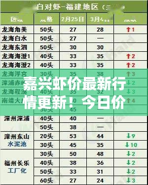 嘉興蝦價最新行情更新！今日價格走勢一網(wǎng)打盡