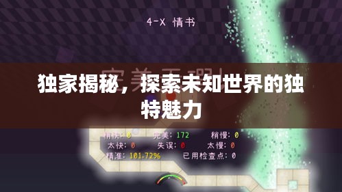 獨家揭秘，探索未知世界的獨特魅力