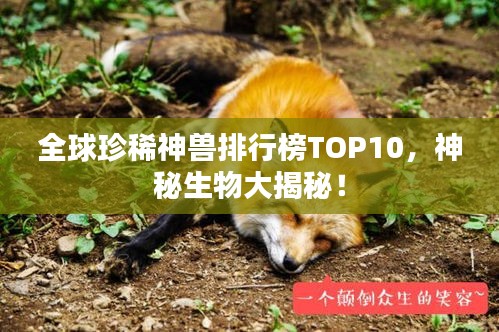 全球珍稀神獸排行榜TOP10，神秘生物大揭秘！