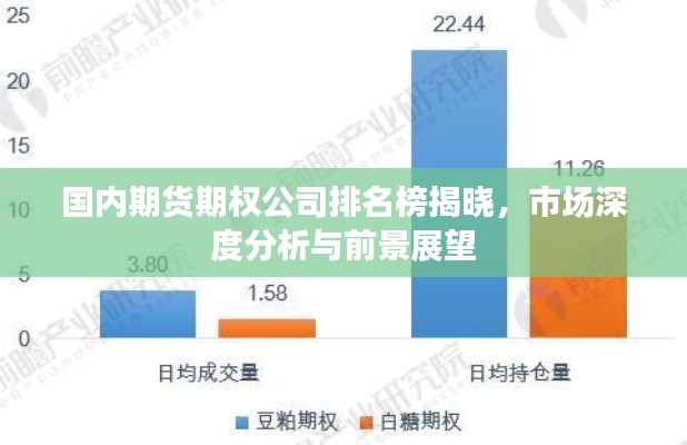 國內(nèi)期貨期權公司排名榜揭曉，市場深度分析與前景展望