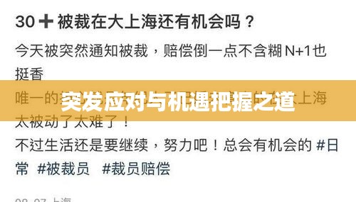 突發(fā)應(yīng)對與機(jī)遇把握之道