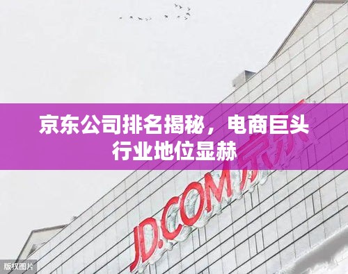 京東公司排名揭秘，電商巨頭行業(yè)地位顯赫