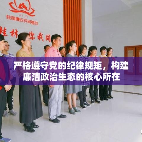 展翅欲飛 第2頁(yè)