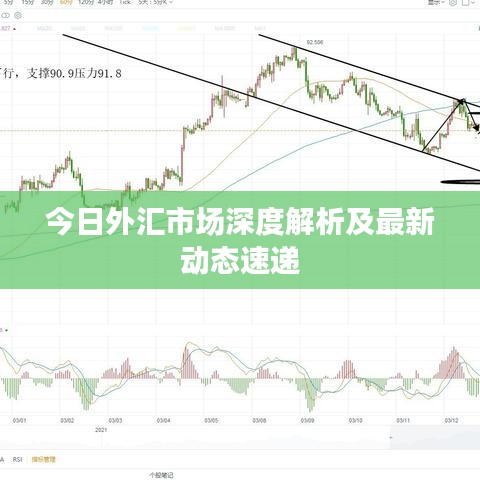 今日外匯市場(chǎng)深度解析及最新動(dòng)態(tài)速遞
