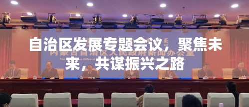 自治區(qū)發(fā)展專題會(huì)議，聚焦未來，共謀振興之路
