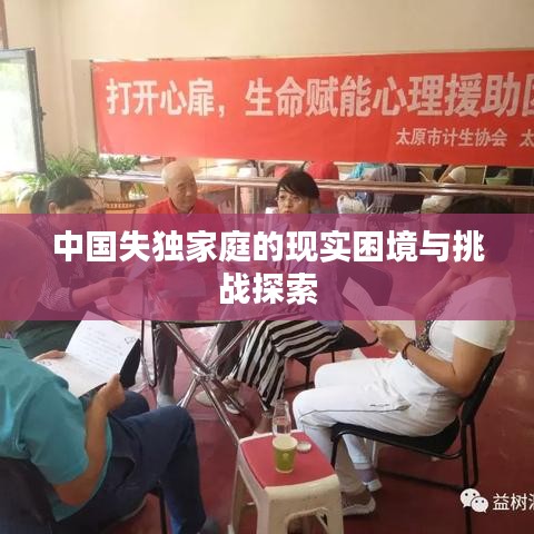 中國失獨家庭的現(xiàn)實困境與挑戰(zhàn)探索