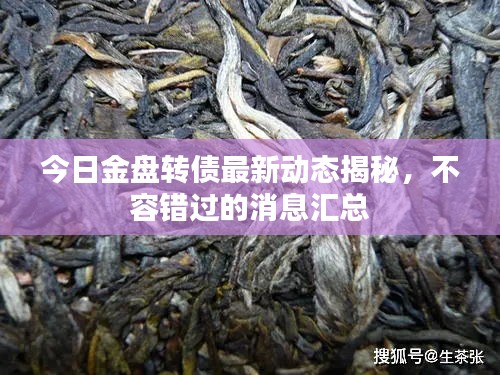 今日金盤(pán)轉(zhuǎn)債最新動(dòng)態(tài)揭秘，不容錯(cuò)過(guò)的消息匯總