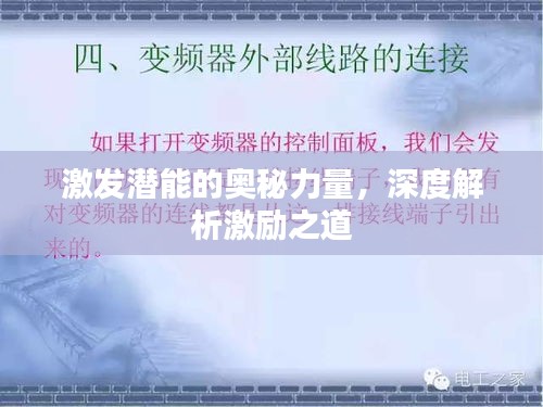 激發(fā)潛能的奧秘力量，深度解析激勵(lì)之道