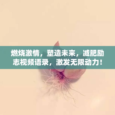燃燒激情，塑造未來，減肥勵志視頻語錄，激發(fā)無限動力！
