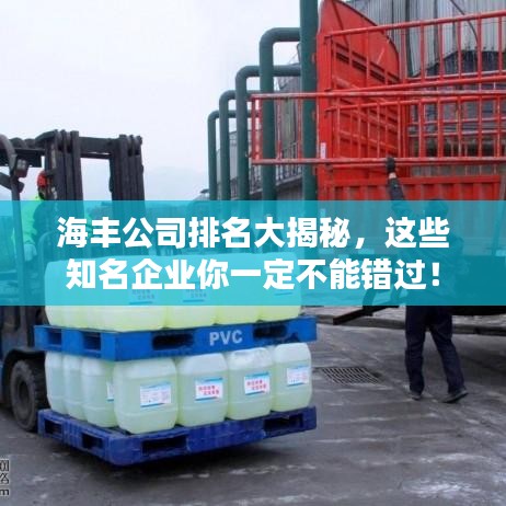 海豐公司排名大揭秘，這些知名企業(yè)你一定不能錯(cuò)過(guò)！
