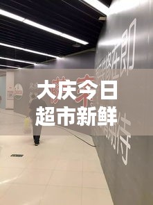大慶今日超市新鮮視頻報道，一窺最新動態(tài)！