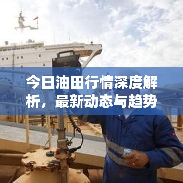 今日油田行情深度解析，最新動(dòng)態(tài)與趨勢(shì)展望