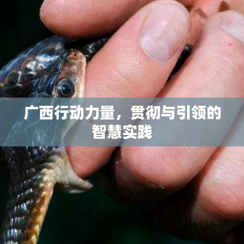 廣西行動力量，貫徹與引領(lǐng)的智慧實踐