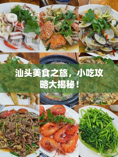 汕頭美食之旅，小吃攻略大揭秘！