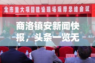 商洛鎮(zhèn)安新聞快報，頭條一覽無余
