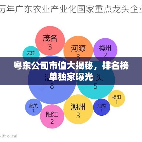 粵東公司市值大揭秘，排名榜單獨家曝光