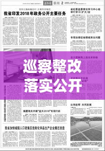 巡察整改落實(shí)公開，開啟政務(wù)透明化的新篇章