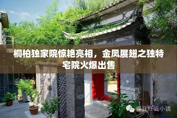 桐柏獨(dú)家院驚艷亮相，金鳳展翅之獨(dú)特宅院火爆出售