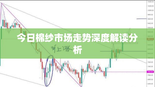 今日棉紗市場(chǎng)走勢(shì)深度解讀分析