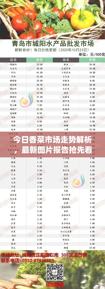 今日香菜市場走勢解析，最新圖片報(bào)告搶先看