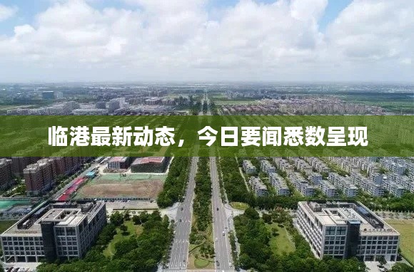 臨港最新動態(tài)，今日要聞悉數(shù)呈現(xiàn)