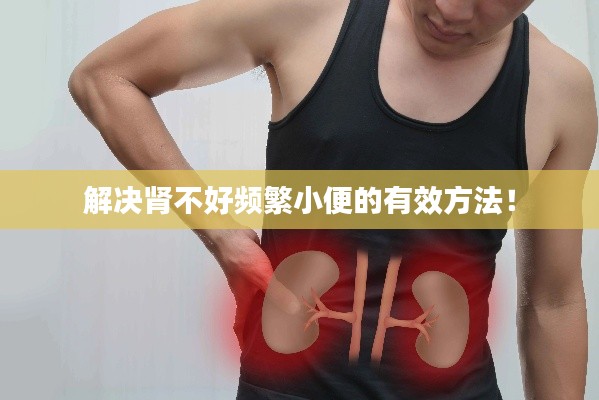 解決腎不好頻繁小便的有效方法！
