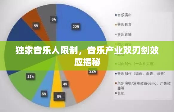 獨(dú)家音樂(lè)人限制，音樂(lè)產(chǎn)業(yè)雙刃劍效應(yīng)揭秘