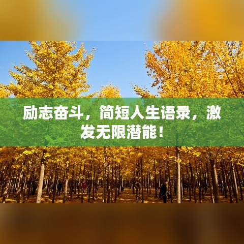 勵(lì)志奮斗，簡短人生語錄，激發(fā)無限潛能！