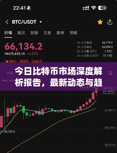 今日比特幣市場深度解析報告，最新動態(tài)與趨勢預(yù)測