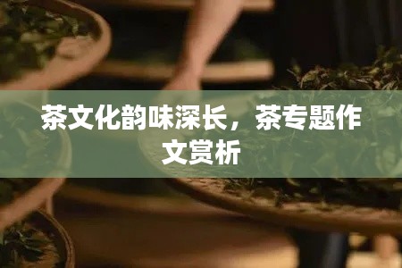 茶文化韻味深長(zhǎng)，茶專題作文賞析