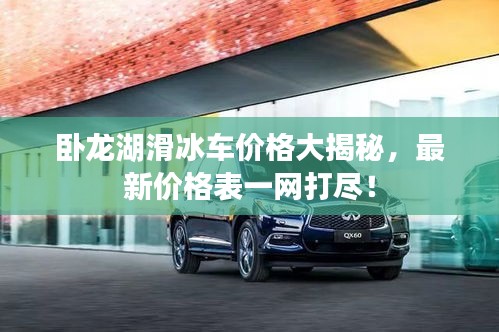 臥龍湖滑冰車價(jià)格大揭秘，最新價(jià)格表一網(wǎng)打盡！