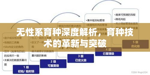 無(wú)性系育種深度解析，育種技術(shù)的革新與突破