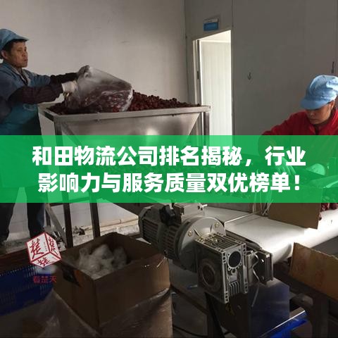 和田物流公司排名揭秘，行業(yè)影響力與服務(wù)質(zhì)量雙優(yōu)榜單！