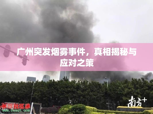 廣州突發(fā)煙霧事件，真相揭秘與應(yīng)對之策
